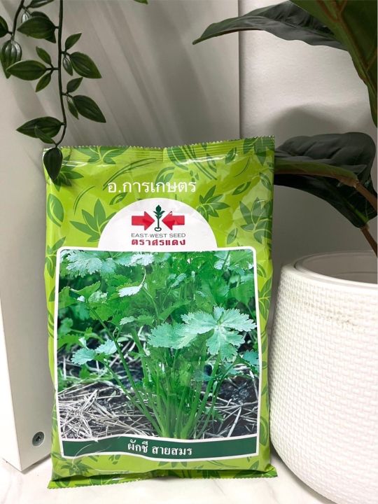 เมล็ดผักชี สายสมร ตราศรแดง ยกลัง 30 ถุง สำหรับเกษตรกร