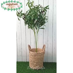 Pohon Imitasi Zaitun Tangkai X2 Cover Eceng Gondok Handle Dekorasi Caffe Dekorasi Ruangan