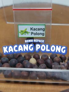 Benih Kacang Polong Unggulan & Tanaman Sayur Ercis