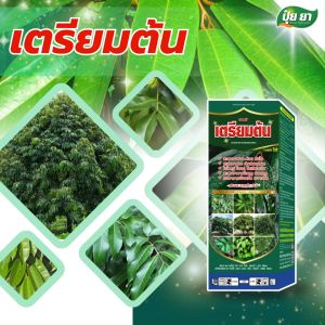 เตรียมต้น สะสมอาหาร เร่งใบแก่ ใบเขียวเข้ม ใบหนา ต้นโตไว ต้นพร้อมออกดอก ฮอร์โมนพืช ปุ๋ยยา 1 ลิตร