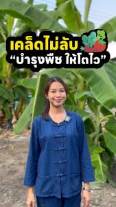 ฟูกรีน ขนาด 50 กรัม เขียวขนลุก เขียวพุ่ง ฮอร์โมนฟื้นต้น  บำรุงต้น-ใบ กระตุ้นการแตกยอด แตกราก เร่งการเติบโต ป้องกันพืชโทรม เขียวดี โตไว ต้นใหญ่ สูตรเร่งใบ สูตรเร่งดอก สูตรป้องกันแมลง และสูตรป้องกันเชื้อรา เร่งราก  ปุ๋ย ฮอร์โมนพืช