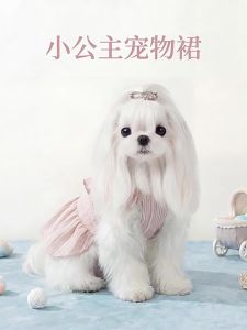 hipidog | Đầm Mỏng Thoáng Khí Phong Cách Công Chúa cho Chó Nhỏ