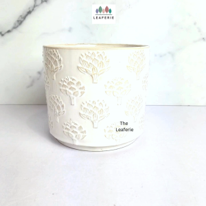 The Leaferie Lylla plant pots. flowerpot . flowerpots . flower pot . planter . planters . Ceramic . Plants