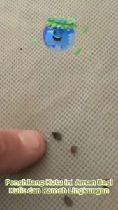 cairan racun bad bug killer pembasmi kutu kasur kutu busuk paling ampuh original