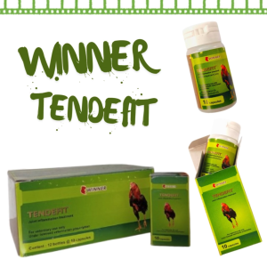 1 DUS WINNER TENDEFIT (12 BOTOL) - obat turun urat tedun kaki pincang ayam