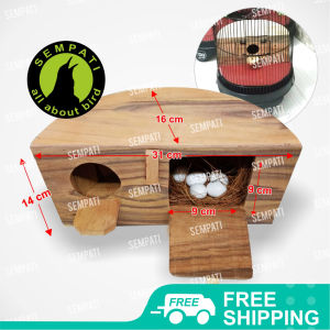 SEMPATI Glodok Glodokan Lovebird Setengah Lingkaran: Kualitas Tinggi & Fungsional