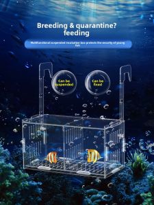VOA | Acrylic Fish Breeding Box Fish Fry Incubator