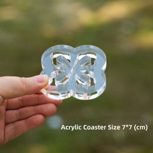 ZHIXIAO | Transparent Acrylic Thickened Storage Box Large Capacity