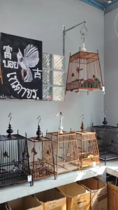 กันแกว่งล็อคหัวกรงนกหัวจุก กันแกว่งกรงนกหัวจุก