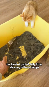 4KG/8KG Cat Litter Sand Bentonite Cat litter High-Quality Deodorizing Cat sand Fast clumping 4 Scent