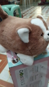 Plush Corgi Dog Toy with Bone and Brush Accessory