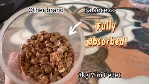 [Superb Absorption] Balance.co Premium Pet Bedding Mini Pine Wood Pallet Cat Litter Pasir Kucing Kayu kuching (8KG ) 超级吸水碎松木托盘猫砂