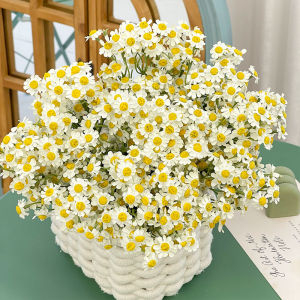 Hoa Giả Hoa Cúc Hoa Tươi Cao Cấp Hoa Khô Trang Trí Hoa Tươi Phong Cách Hiện Đại Hoa Tươi Trang Trí Hoa Tươi