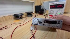 Bộ Khuếch Đại Âm Thanh Nổi 2x100W Bộ Thu Âm Thanh Kỹ Thuật Số Rạp Hát Tại Nhà AMP Có Điều Khiển Từ Xa Vỏ Bạc DC8V-26V Bao Gồm Dây Nguồn