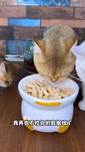 Freeze Dried Goat Milk Sticks Pet Snack Cat Dog