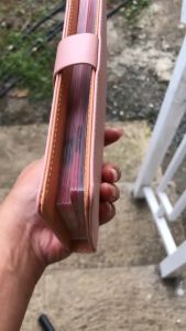 SCY 100 Envelopes Money Saving Challenge: A Waterproof & Reusable Gift Organizer