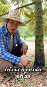 เทอร์ราคลอร์ ซูปเปอร์-เอ็กซ์ ขนาด 1 ลิตร สารป้องกันกำจัด รากเน่า โคนเน่า เน่าคอดิน ใบติด เชื้อไฟทอปธอร่า ใช้ในพืช ผัก ผลไม้ NPK พลังงาน