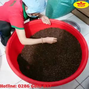 Cà phê hạt Espresso Mario Đam mê - Robusta 100% - Đậm vị mạnh thơm nồng nàng [500gr]