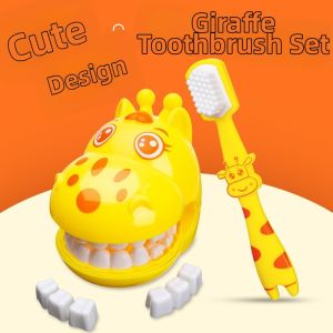 gumahus | Educational Tooth Brushing Learning Toy Model