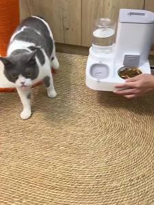 HELLOLEIBOO | Automatic Feeding and Drinking Pet Bowl