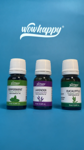 Wowhappy EUCALYPTUS Aromatic Oil 10ML | For Diffuser Massage Aromatherapy & Wellness Relaxation