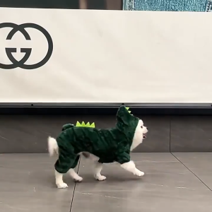Dogs Clothes Small Pet Costume Halloween Dinosaur Costume Dog Clothing Puppy Outfits Funny Apperal Winter Plush Home