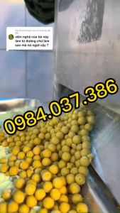 Máy làm viên tinh bột nghệ mật ong vo viên hà thủ ô làm viên thuốc bắc size 6/8/10/12mm