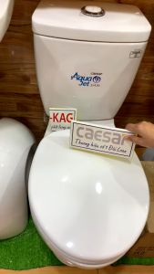 [HCM]Nắp đậy cho bồn cầu Ceasar KAG-C1325 nắp xí bệt 2 khối nhựa trắng bóng dày đẹp sử dụng siêu bền