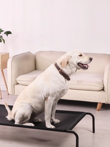 เตียงสัตว์เลี้ยง เตียงสุนัข เตียงสุนัขระบายอากาศขนาดใหญ่ เตียงตาข่ายความชื้น ถอดออกได้และล้างด้วยน้ำ เตียงสัตว์เลี้ยง 4 ขนาดตัวเลือก S / M / L / XL