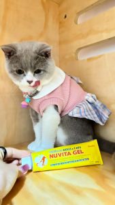 Gel Nuvita bổ sung vitamin kích thích thèm ăn cho chó mèo 120ml