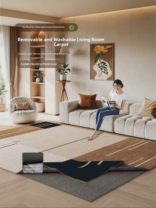 AOVOC | Washable High-End Resilient Carpet