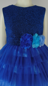 Big Joy Girls Formal Gown Neriah for Party Dress  Birthday Princess Flower Girl For Ages for Ages 3 to 10 Years Old (563049)