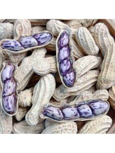 Wet Roasted Salty Crispy Peanuts with Shell