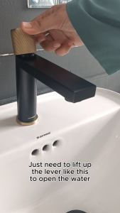 Bareno Matt Black Brushed Gold Basin Cold Tap MBG1075