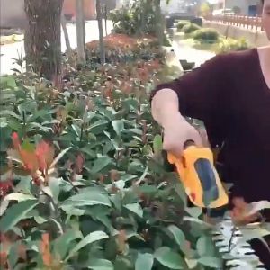 เครื่องตัดกิ่งไม้ 24โวลต์ 2อิน1 เครื่องตัดหญ้าไร้สาย แบตเตอรี่ไฟฟ้าพูมไม้ ตัดแต่งต้น