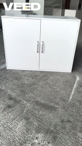 QACE ALL STEEL kitchen hanging storage cabinet