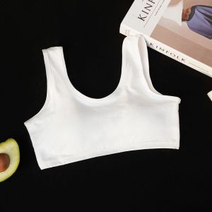 🔥Ready Stock现货🔥学生内衣女韩版/Students non-wire sports bra/Seluar dalam kanak-kanak perempuan lancar lembut selesa bernafas 发育期无钢圈带固定杯垫/学生无钢圈运动文胸