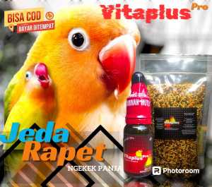 VITAMIN PENGGACOR DAN MILET KENCENG LOVEBIRD NGEKEK PANJANG/FIGHTER/KONSLET/NGEDOUBLE