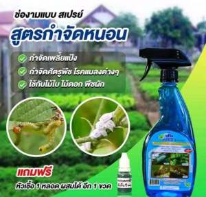 ช่องาม สเปรย์ช่องาม สารชีวภาพ ปุ๋ยฮอร์โมนพืชพร้อมใช้ ขนาด 500 ml. (แถมฟรี!! หัวเชื้อผสมได้อีก 1 ขวด)