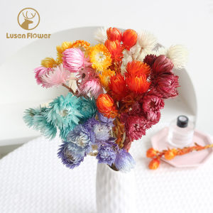 Eternal Flower Rock Flower Ins Style Natural Plant Dry Snow Lotus Bouquet Decoration Decoration Dried Flowers Bouquet Handmade DIY
