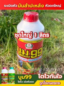 บูม99  ปุ๋ยน้ำ สำหรับพืชทุกชนิด กระตุ้นผลผลิต เห็นผลไว ได้ผลจริง ขนาด 1000 cc 🆓แถมฟรี ผงอะมิโน 🧤ฟรีถุงมือ
