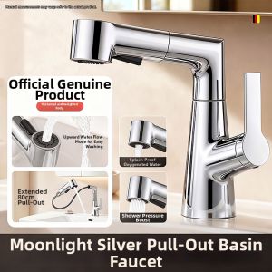 SHENYUAN | Cold and Hot Dual Use Pull Out Washbasin
