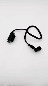 Ignition Coil For 125cc 150cc 200cc 250cc Universal Atv Scooter Motorcycle Ignition Coil