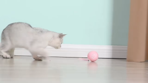 Mainan Kucing Anjing Bola LED Listrik Bergulir Cerdas LED Laser Bola/Pet Mainan Interaktif Untuk Kucing Bola Listrik Bergulir Cerdas