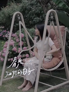 👍Swing Chair(FREE DELIVERY&INSTALL)Type DL03 Outdoor Chair Floor Chair