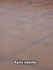 Portable Clothes Dryer - Compact Foldable Mini Dryer with Dry Bag | Quick-Drying & Baby Clothes Disinfection | Ideal for Home Dormitory Rainy Season | 220V