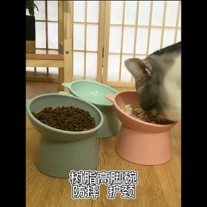 Elevated Slanted Cat Feeder Bowls Anti Vomiting Cat Dog Bowl Protect Pets Spine Dog Feeder For Food And Drinking