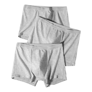 TUROU | Disposable Hygienic Cotton Underwear Mens Briefs