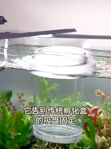 Fish tank hatching box with locator guppy breeding isolation box small fish eggs fry zebrafish betta fish tank supplies spawning