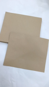 【1BOX=250PCS ! ! !】LION 10"x12" Brown Envelope Manila 80gsm (254mmx305mm) (250pcs) (Price For 1 Box)